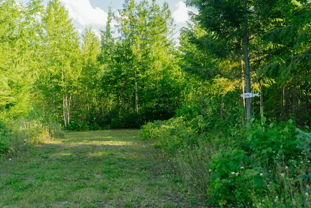 Site 3: RV or tent