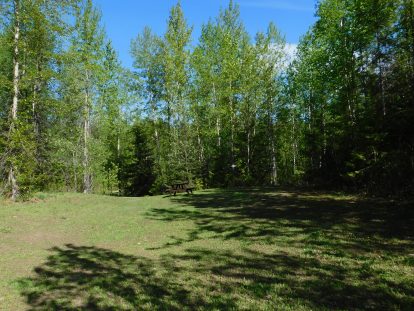 Group site 4