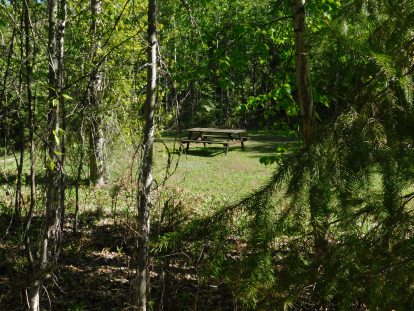 Picnic table in site 4