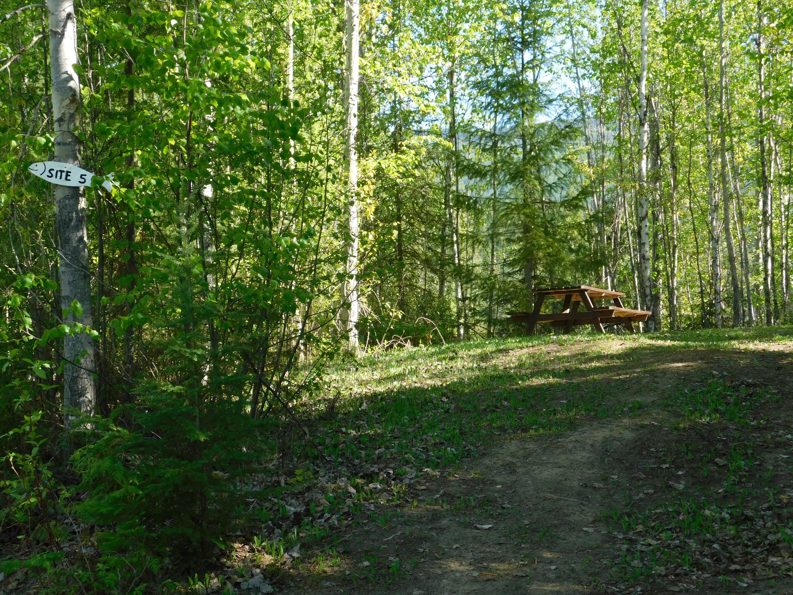 Site 5