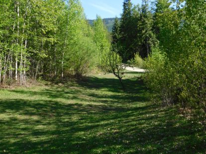 View from playground towards fire pit and roadway