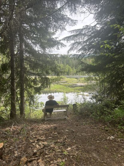 Relaxing by the lake