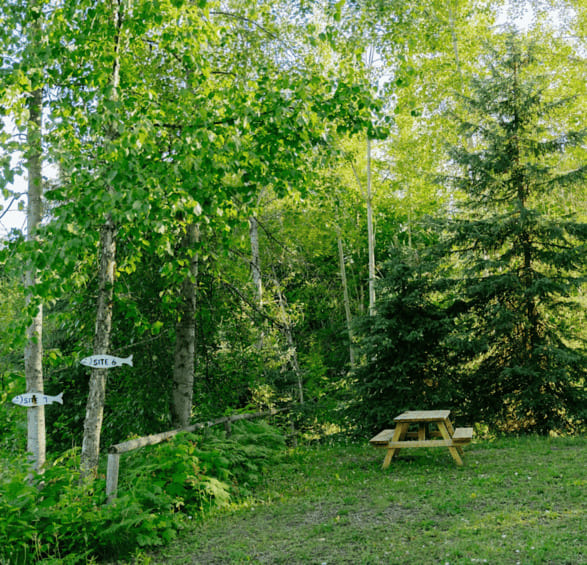 site 6 bg