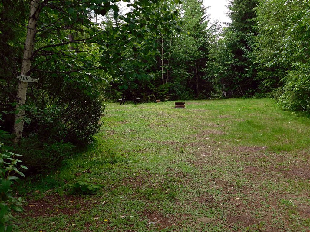 Site #2: “Group Therapy” w/lake view