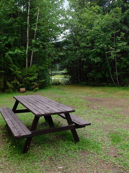 Site #2: “Group Therapy” w/lake view