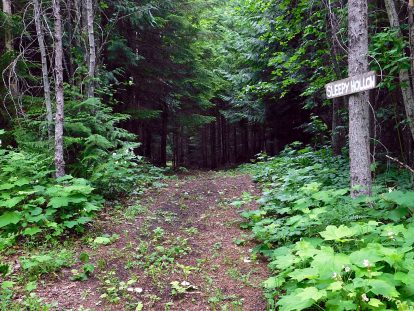 Sleepy Hollow trail entrance