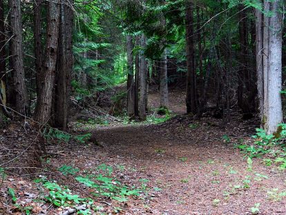 Sleepy Hollow trail