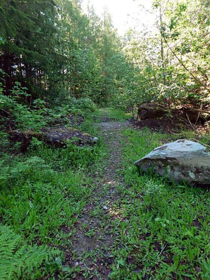 Trail to public dock