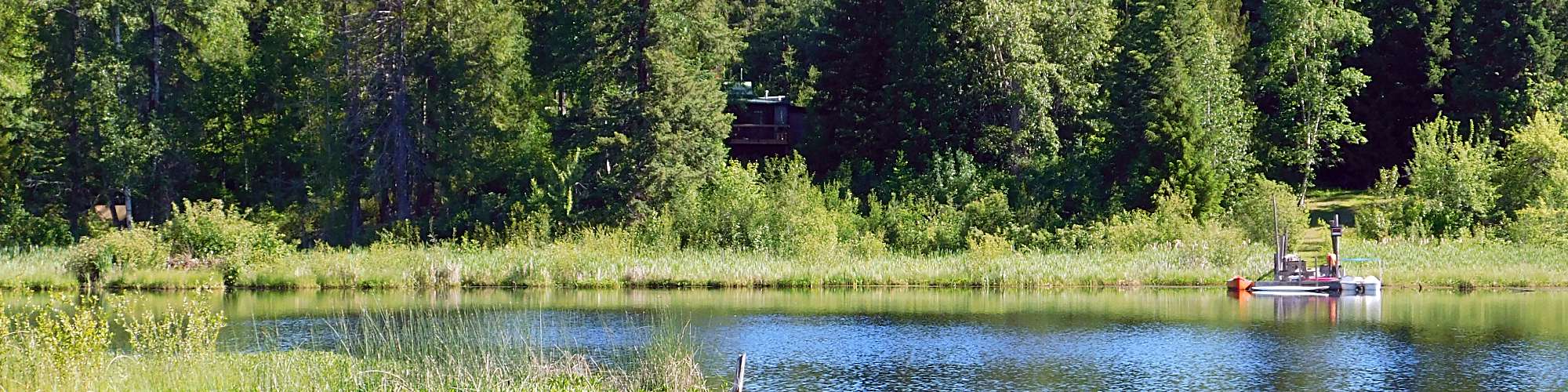 the homestead