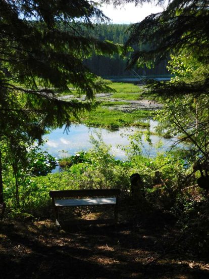 Site 2 bench overlooking Herman Lake