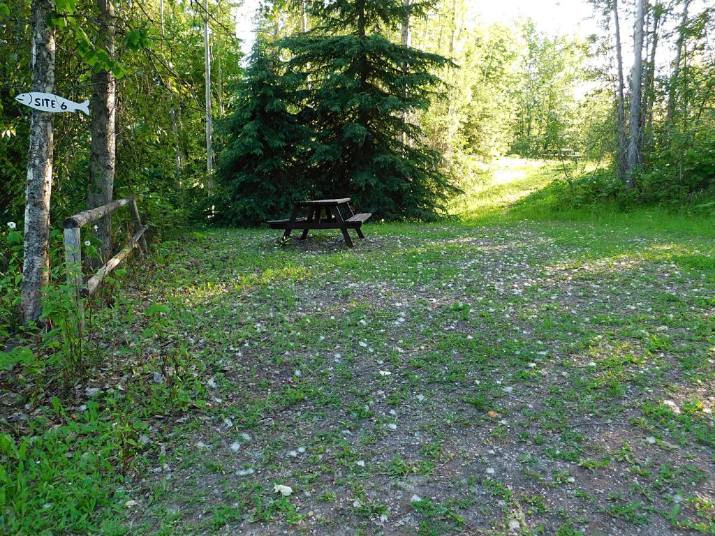 Site 6 - RV or tent