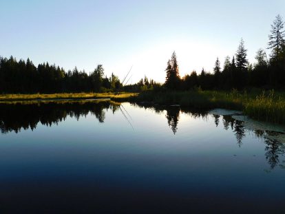 Clear reflection